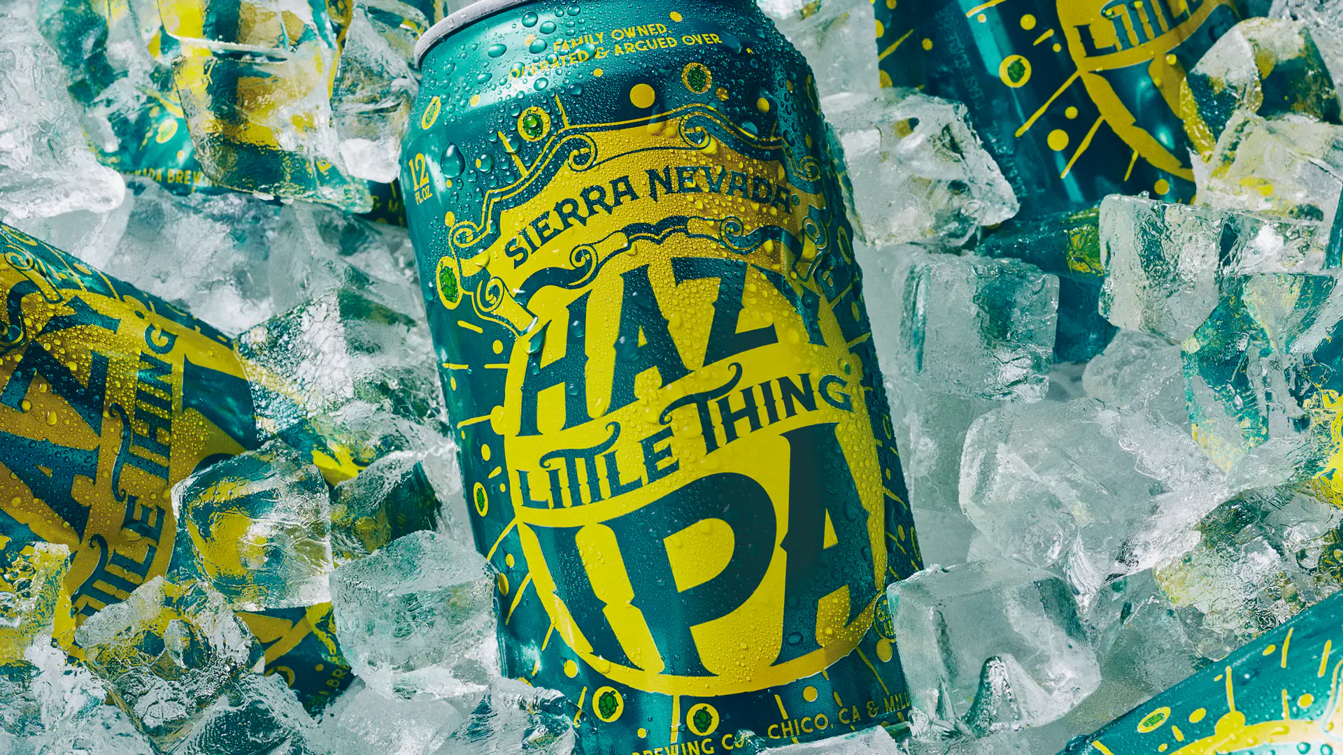 Hazy Little Thing IPA