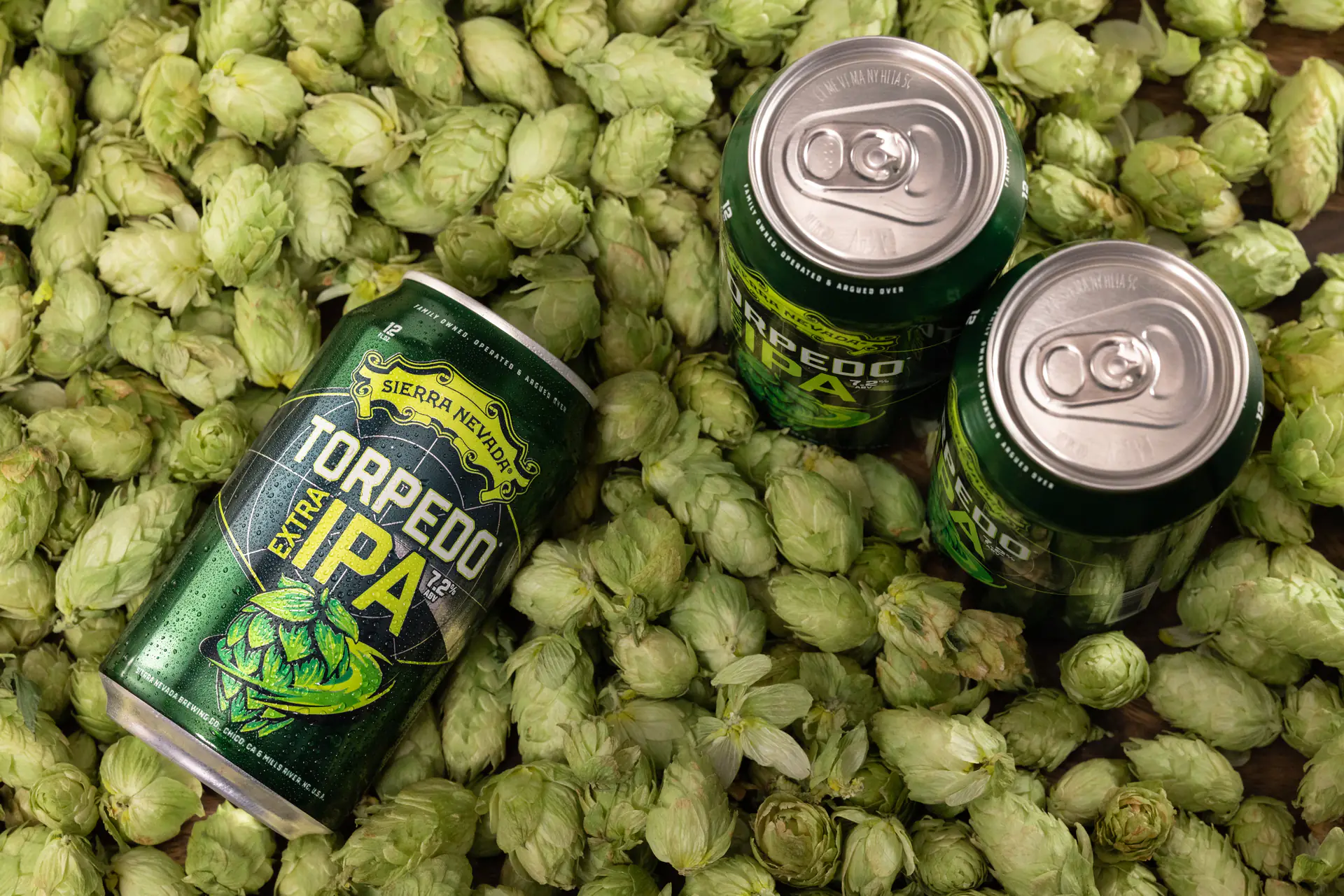 Torpedo Extra IPA